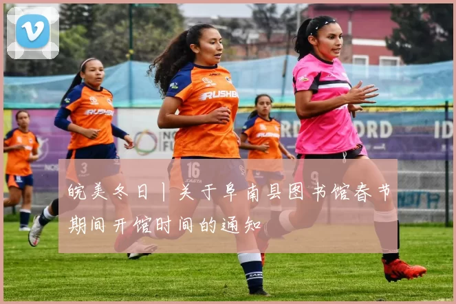 皖美冬日丨关于阜南县图书馆春节期间开馆时间的通知