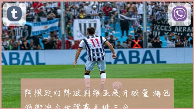 阿根廷对阵玻利维亚展开较量 梅西领衔冲击世预赛关键三分