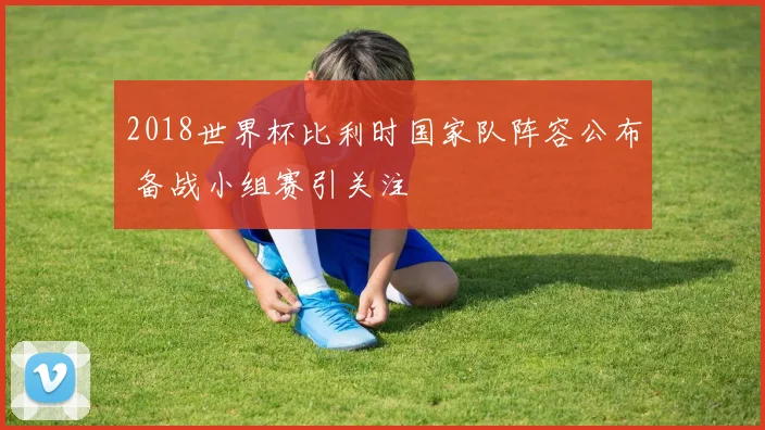 2018世界杯比利时国家队阵容公布 备战小组赛引关注
