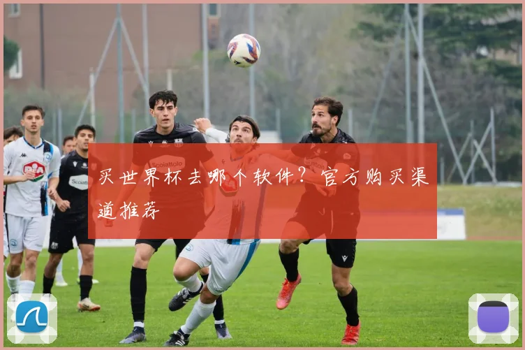 买世界杯去哪个软件？官方购买渠道推荐