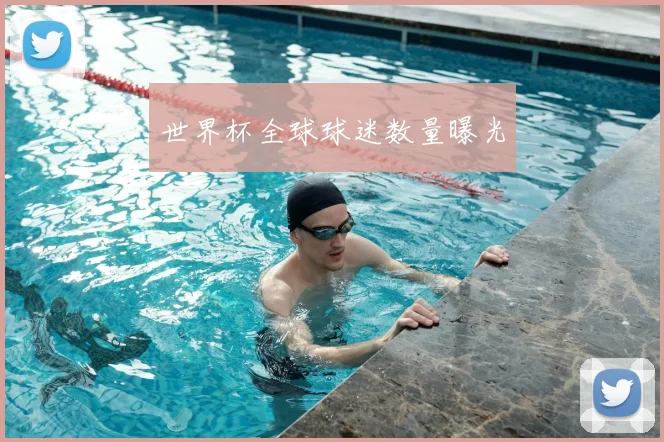 世界杯全球球迷数量曝光