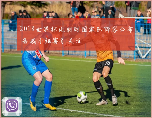 2018世界杯比利时国家队阵容公布 备战小组赛引关注
