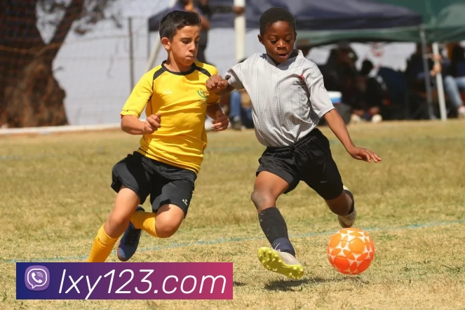 多媒体互动体验